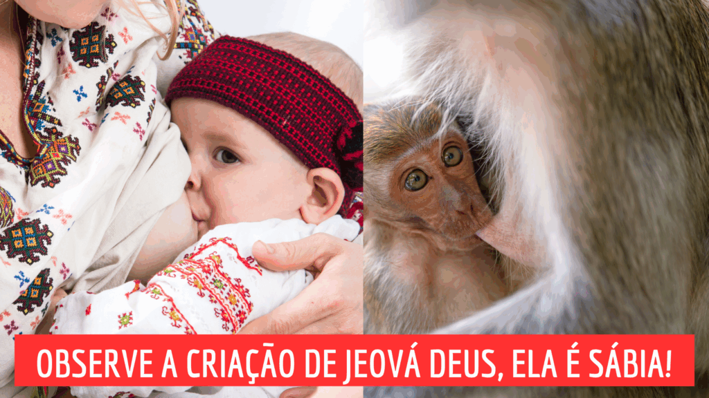 BANNERS-JORNAL-3-1024x576 Amamente SÓ na Vertical!